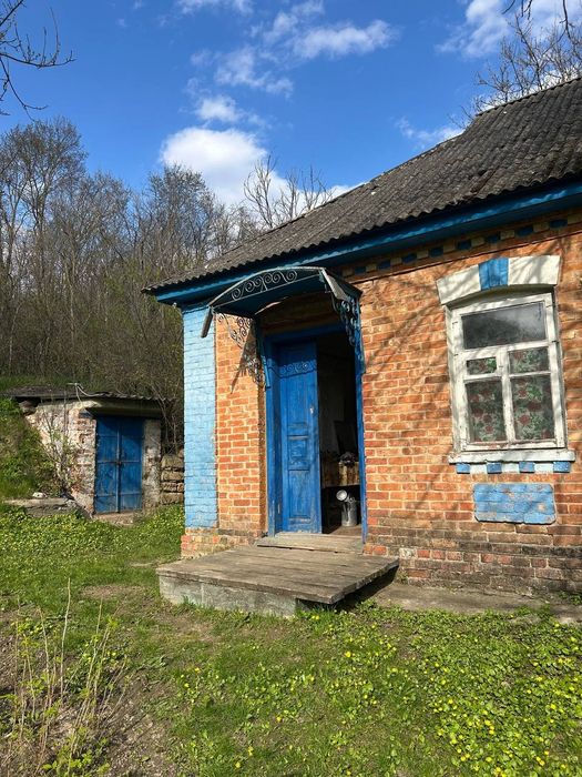 Продам будинок в с.Луки