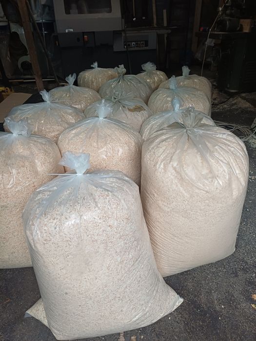 Wióry iglaste suche 240l