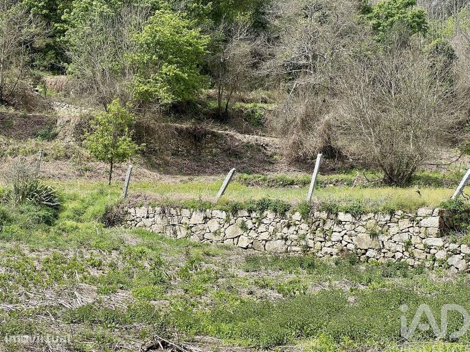 Terreno em Vouzela e Paços de Vilharigues de 26750,00 m2