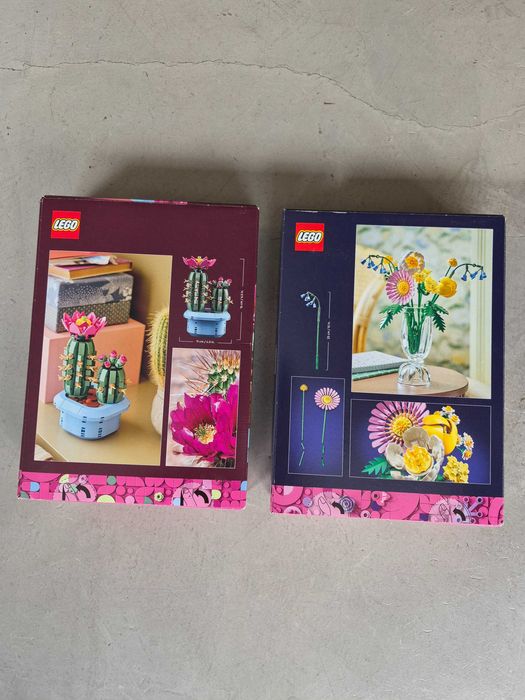 Cato em Flor 11509 | Pequeno Buquê 10347 | Botanical Collection