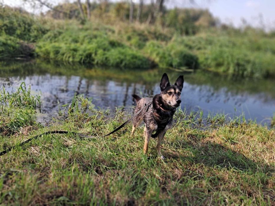 Fiszka ciągle jeszcze liczy na cud!