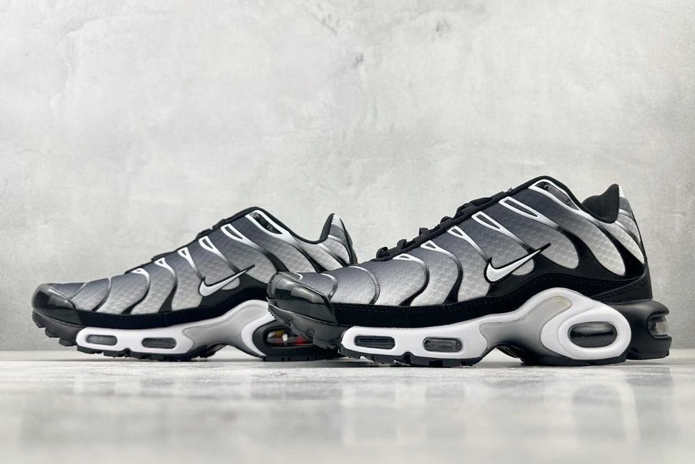 Air_Max_TN_Plus 41
