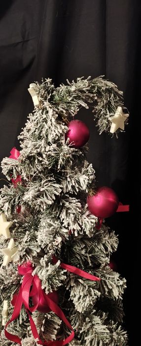 Choinka na pniu  120