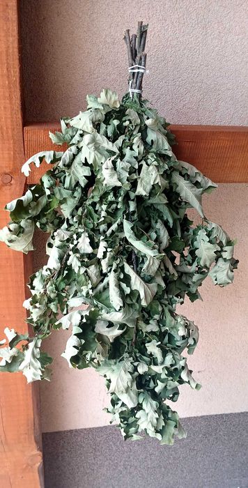 Witki brzozowe,  dębowe do sauny,  saunowanie, sauna, brzoza, dąb,  80 cm