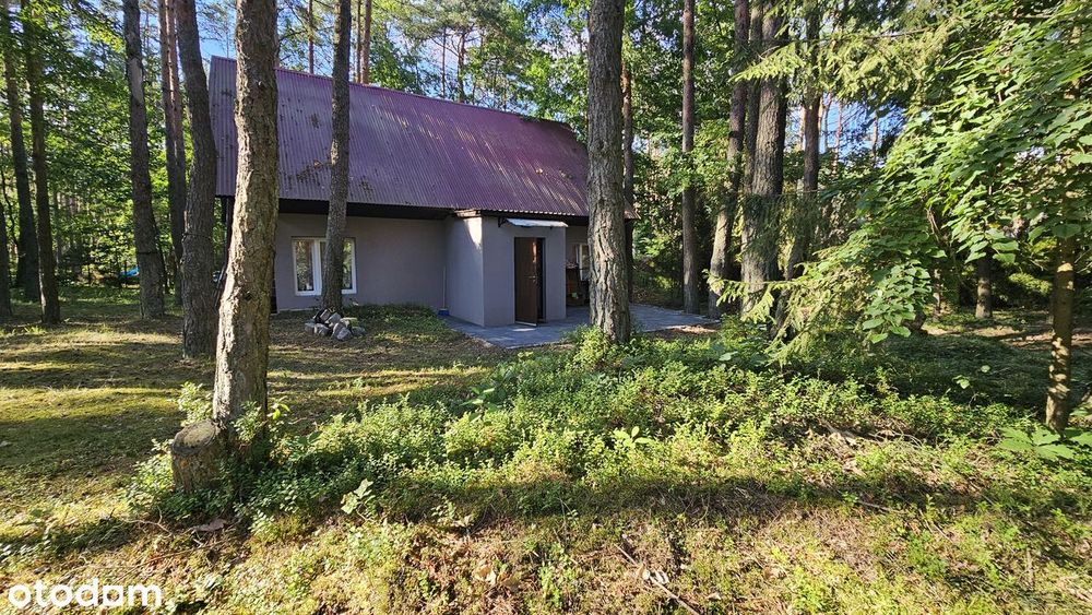 Uroczy domek w środku lasu/ Czekanka