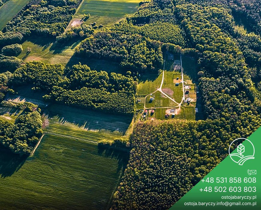 Baza pod kamper nad stawem. 5G i las. Dolina Baryczy, pod Wrocławiem