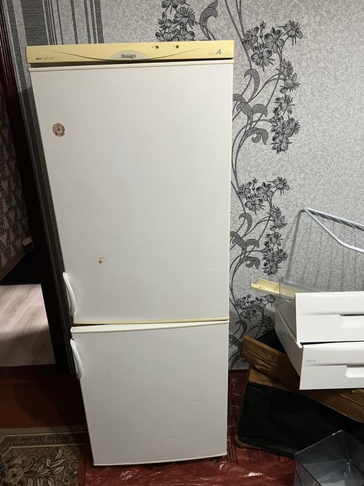 Холодильник Snaige + морозильна камера   - Ціна Договірна