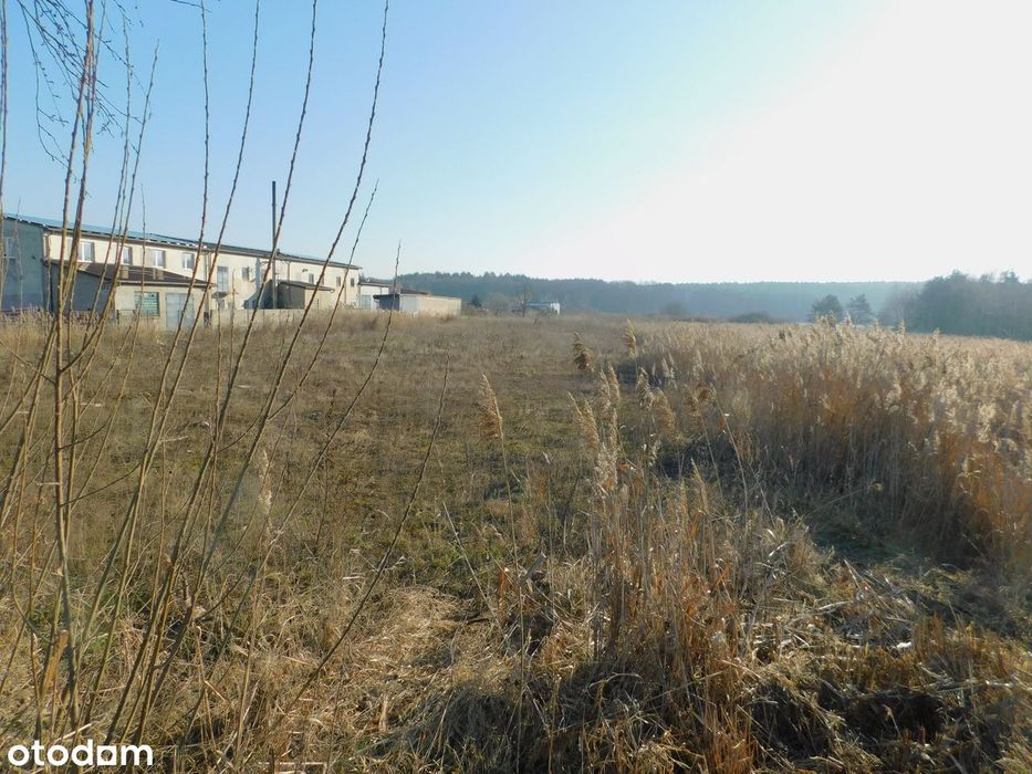 Syndyk sprzeda - Mogielnica, dz. nr 1658 i 1747 - Widok 2