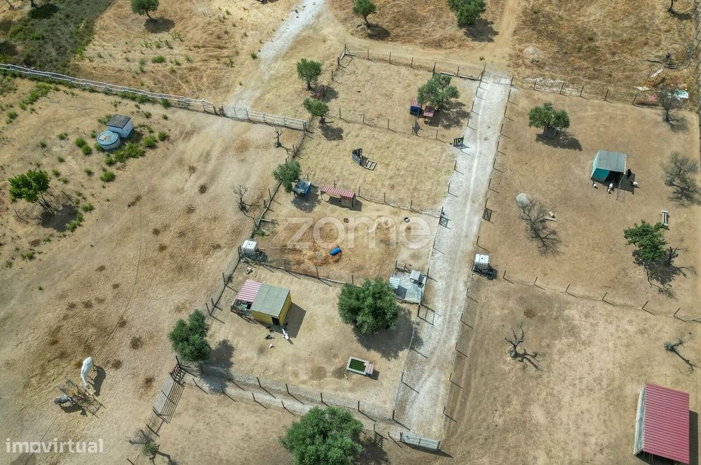 Terreno com 1 ha no Alentejo | Viabilidade construtiva