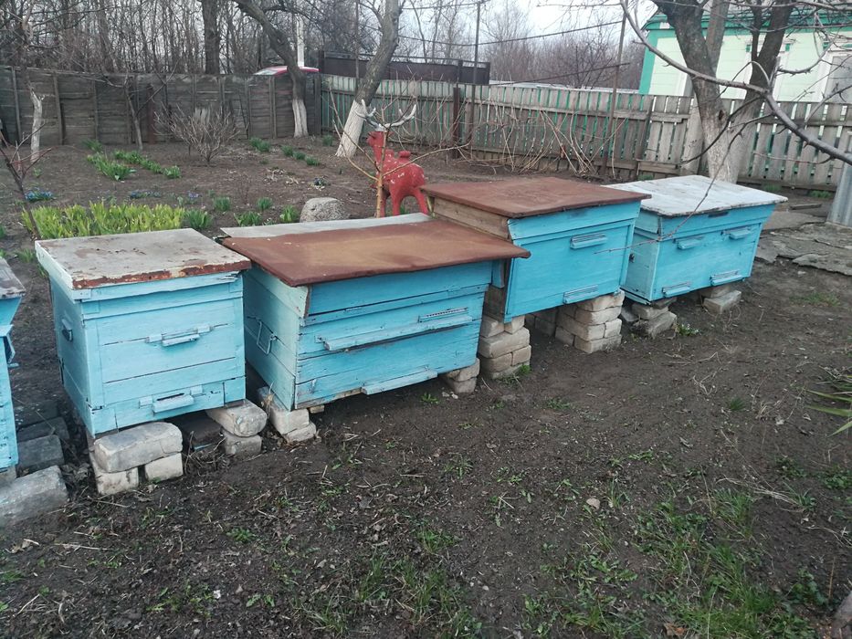 Ульи  для  пчел.