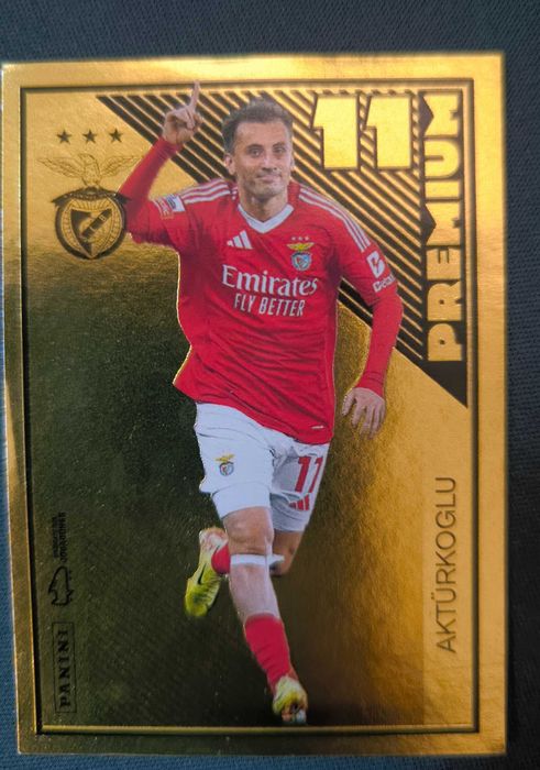 Cromo premium Liga 24/25