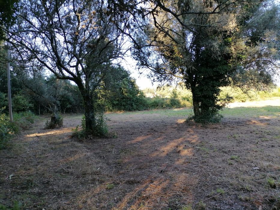 Terreno fantástico para construção