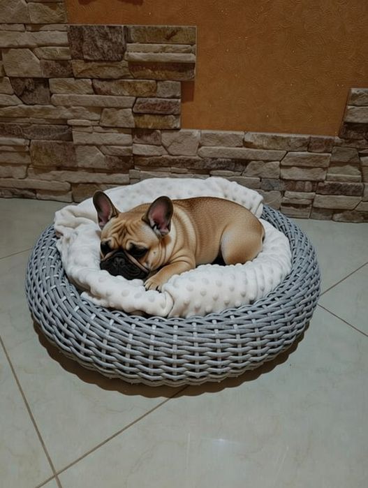 Лежанка для домашніх улюбленців,котиків ,песиків