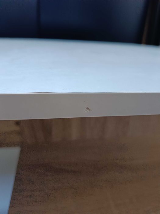 Stolik kawowy sonoma