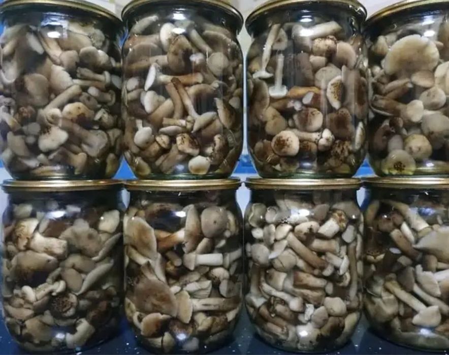 Мариновані грибочки, смачний маринад
