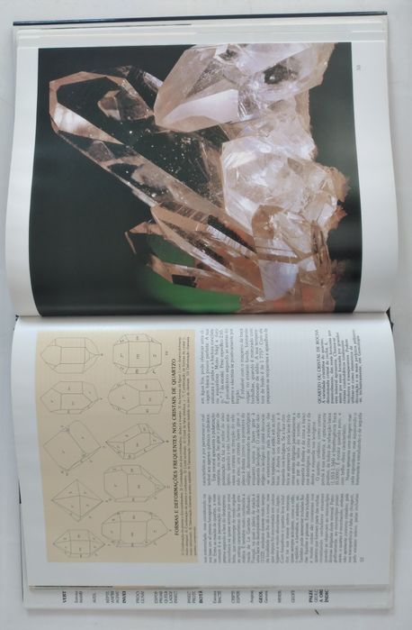 História Natural - 12 livros