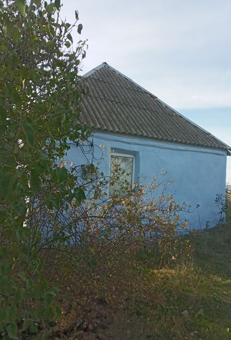 Дом в Петрово-Солонихе, возможен торг