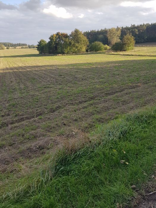 Grunty rolne 5.29 ha bezpośrednio od właściciela