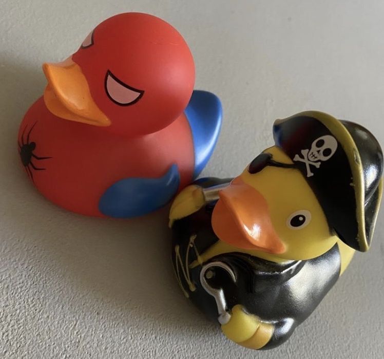 Funny ducks , качка  -  пірат