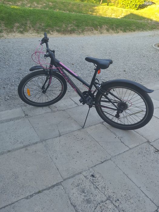 Rower koła 24 cale