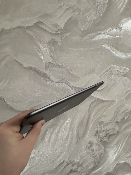 IPad Mini 5 256 Gb Space Gray