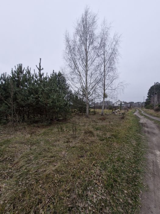 Продається земельна ділянка в Озерному.