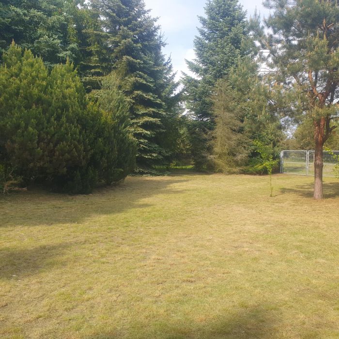 Letniskowy Dom z bali nad rzeką Narew