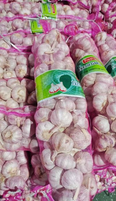 Продам часник оптом