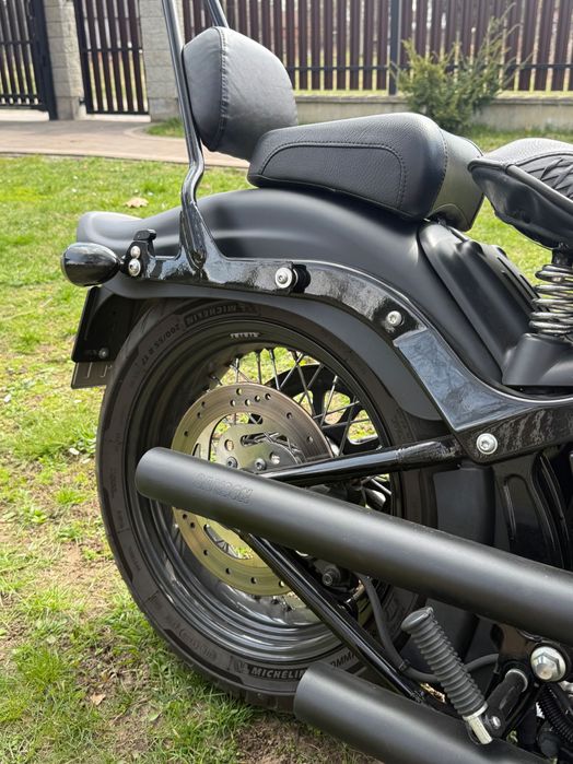Harley Davidson Cross Bones