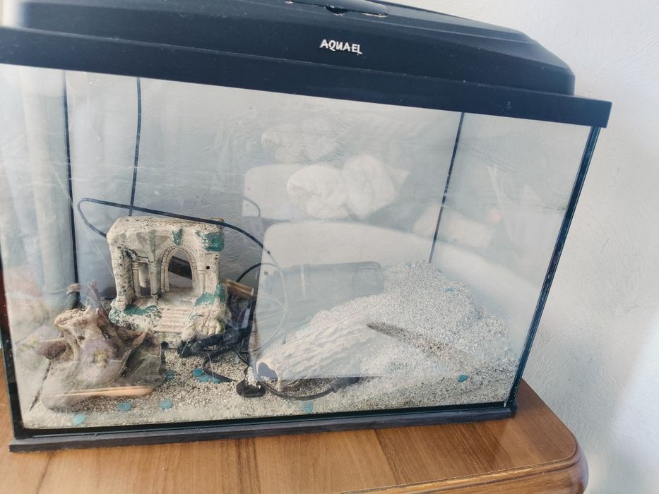 Akwarium 60l z niezbędnym sprzętem.