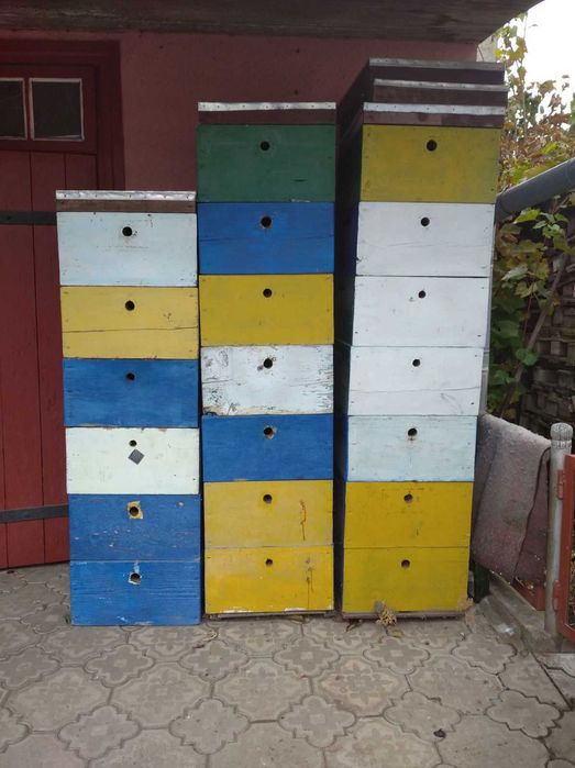 Вулики з бджолосім'ями