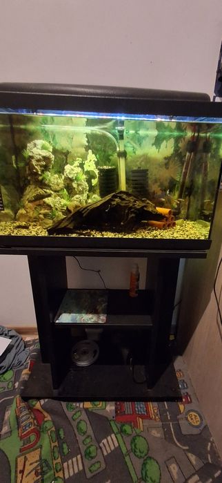 Sprzedam akwarium 70l
