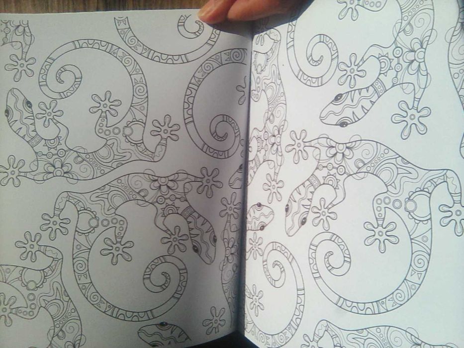 Livros Mindfulness Arteterapia : " Mandalas e Desenhos Natureza "