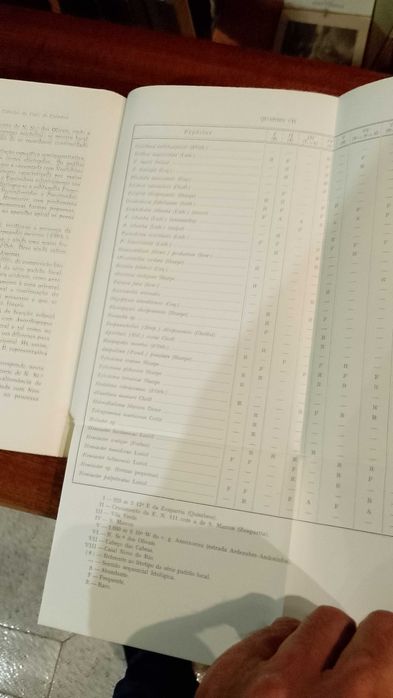 Montemor-O-Velho, Sargento-Mor etc 1967