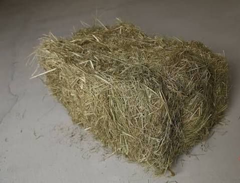 Сіно лугове тюковане