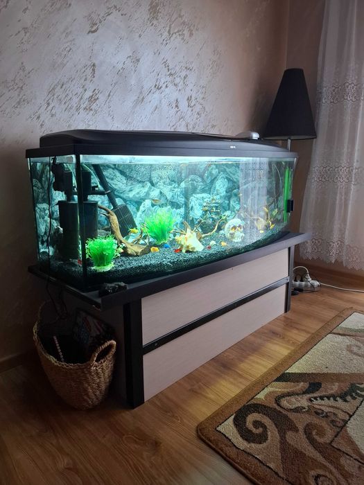 Akwarium panoramiczne 375l