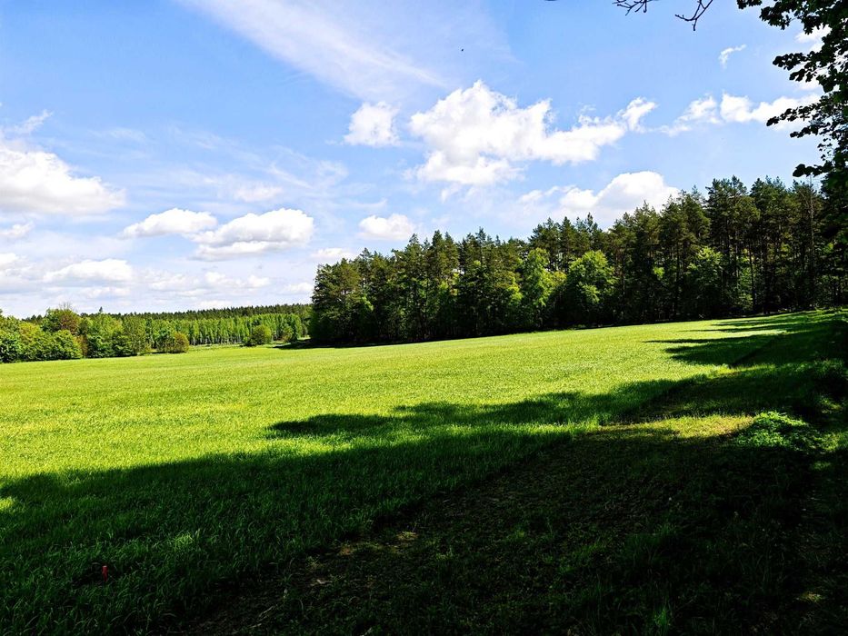 Działka budowlana, 10ar, las, Mazury, bezterminowe Warunki Zabudowy