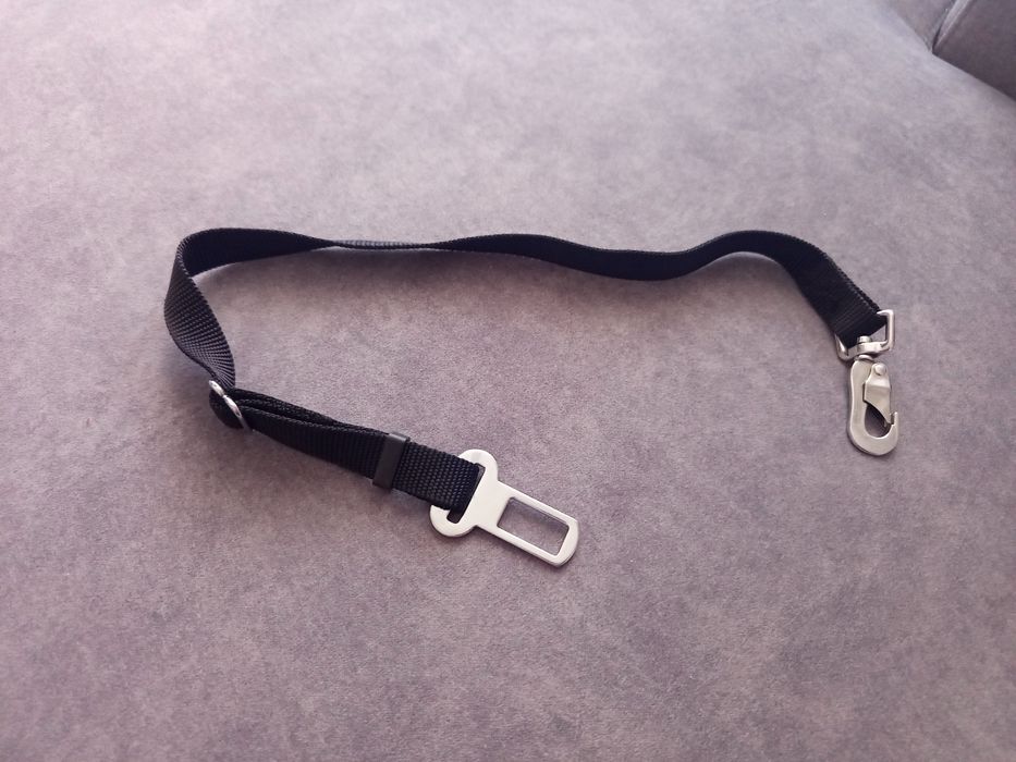 Pas do samochodu dla psa