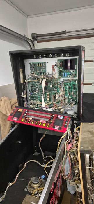 Flipper pinball rollergames