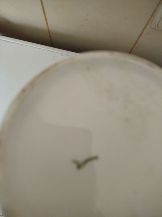 Большая фарфоровая ваза