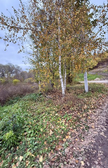 15 соток під забудову м. Обухів, без %