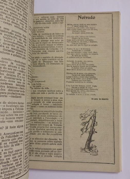 Ferreira de Castro: 100 anos de vida literária