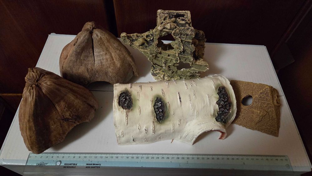 Esconderijos Répteis