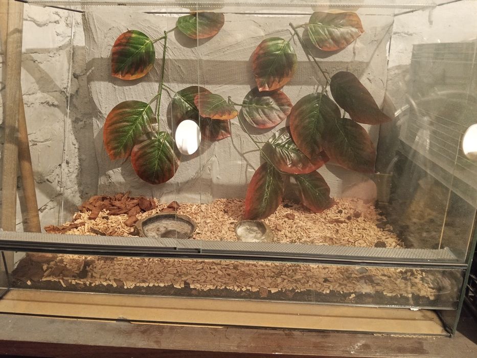 Terrarium dla zwierząt