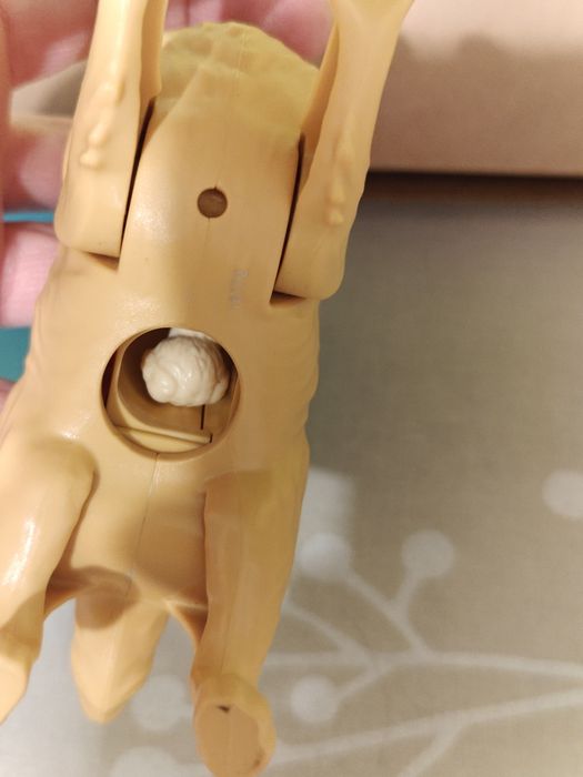 Barbie Narodziny szczeniaczków FDD43