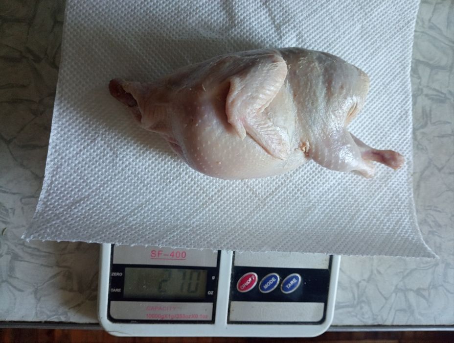 Перепілка, тушка