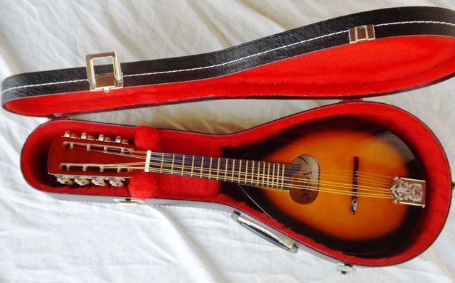 Bandolim sunburst e estojo novos