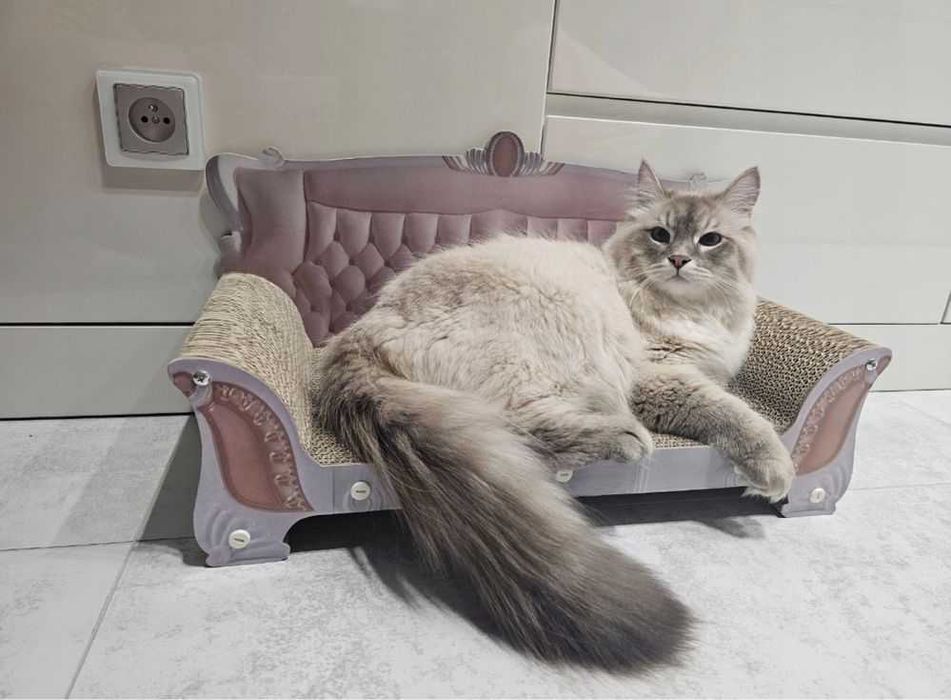 Drapak tekturowy dla kota sofa legowisko leżak
