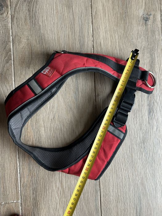 Szelki M, smycz, pas - Canicross komplet