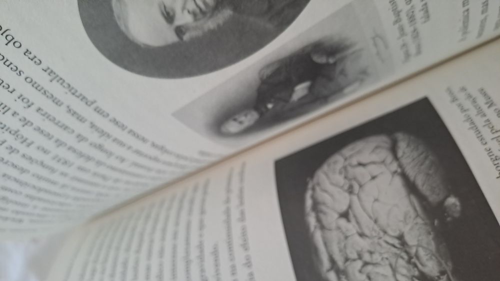 Inteligência Vital, Estupidez Artificial de Alexandre Castro Caldas